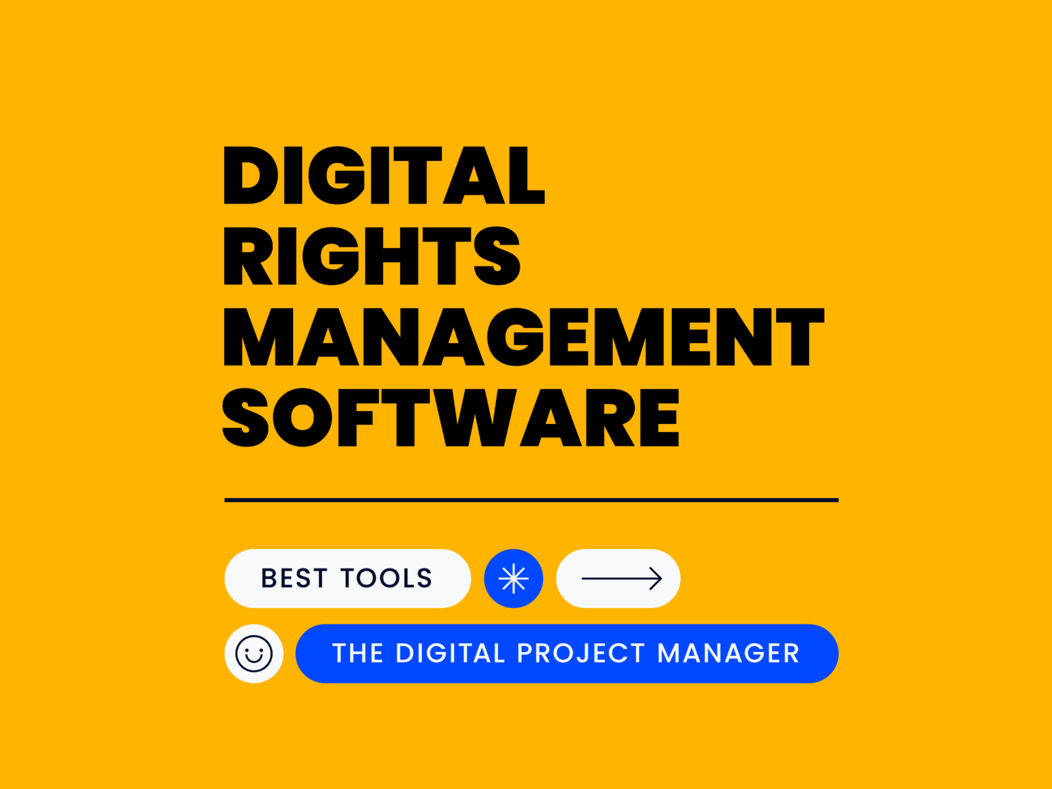12 Best Digital Rights Management Software Reviewed in 2026