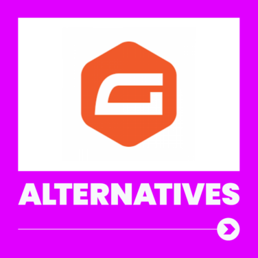 Gravity forms Alternatives 25314